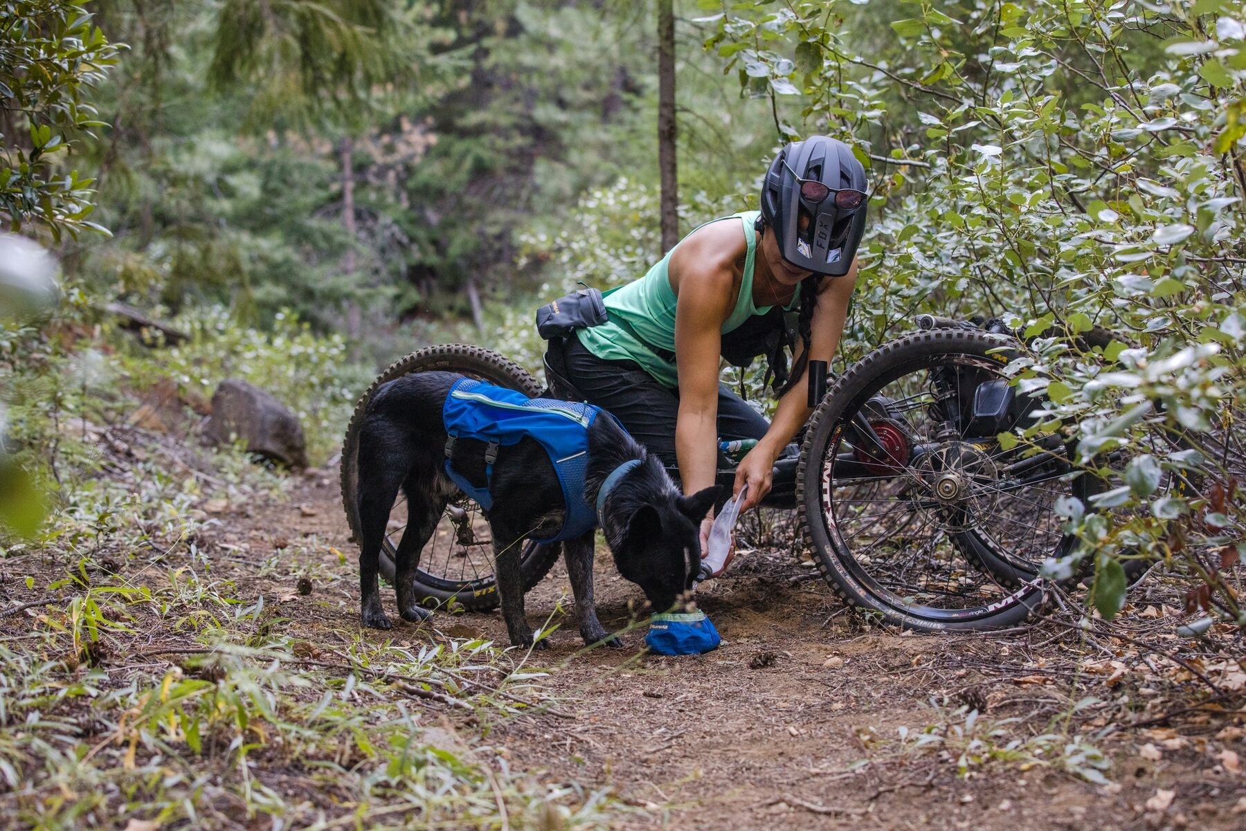Trail Runner™ Dog Running Vest (Ruffwear) - SnowPaw Store - Ruffwear - Dog Harness